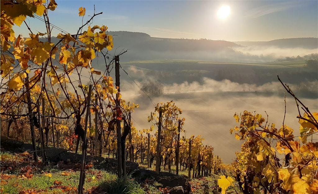 Herbstfarben