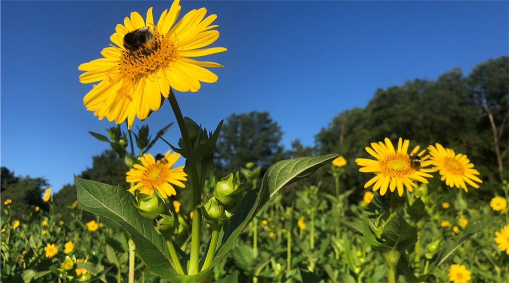 Sommerzeit