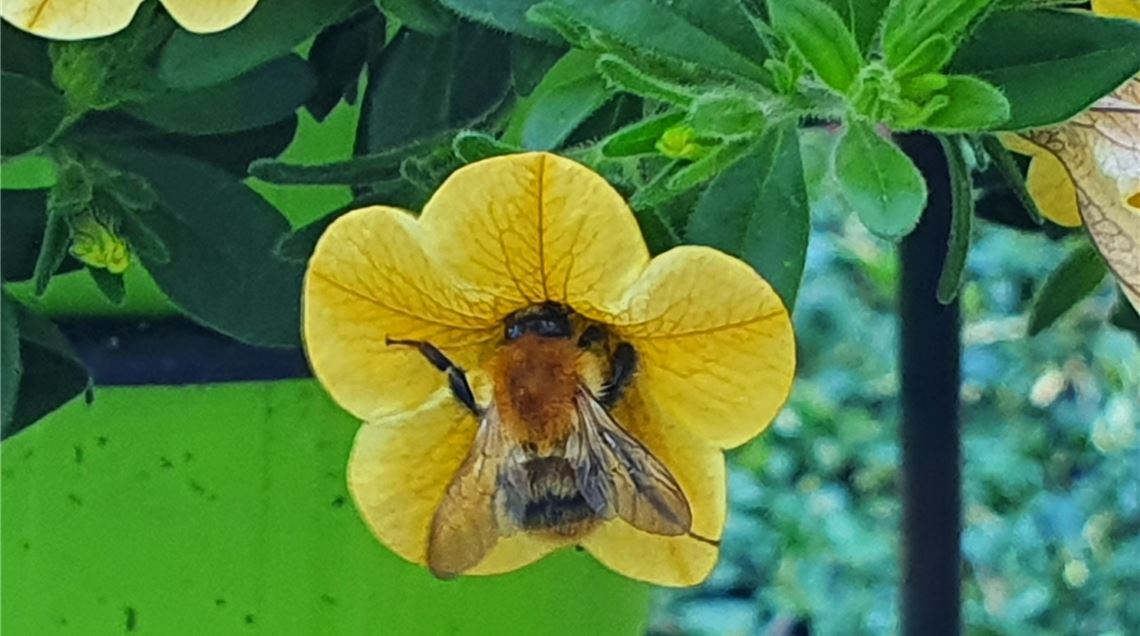 Sommerzeit