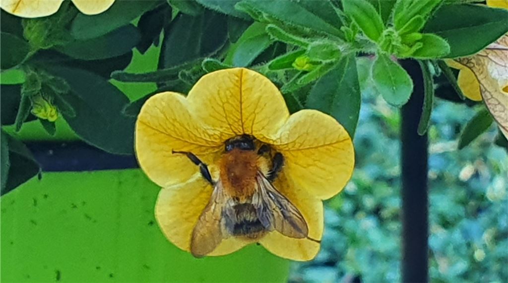 Sommerzeit