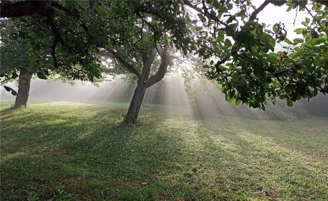 Sommerzeit