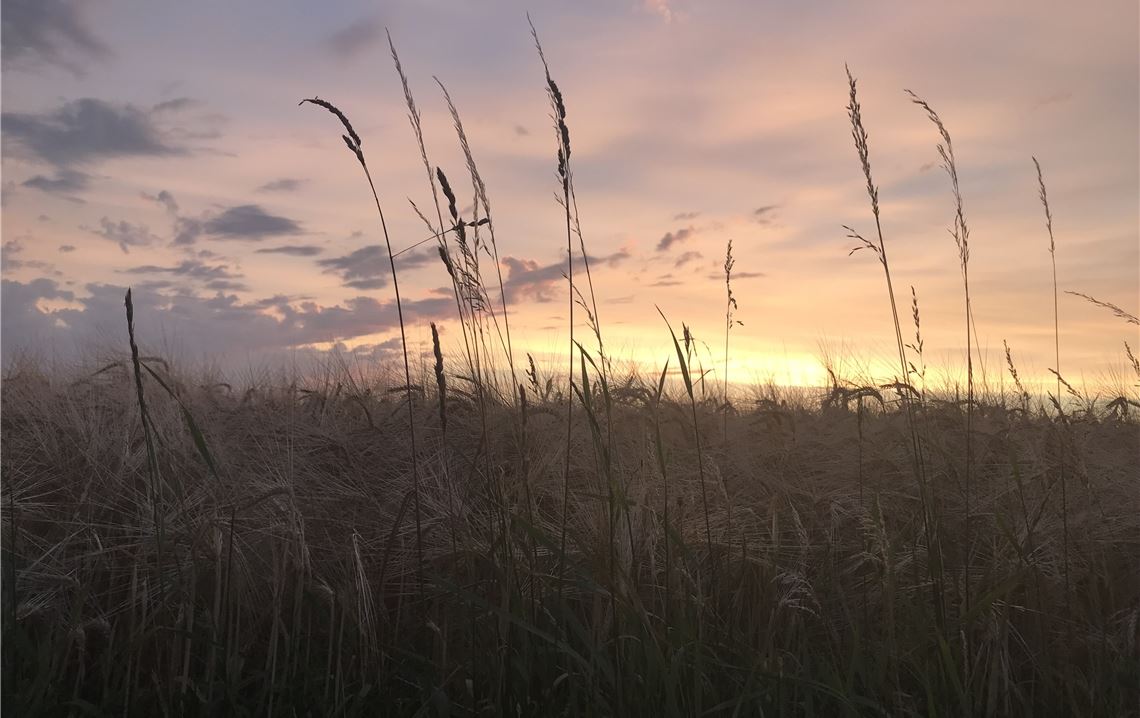 Sommerzeit