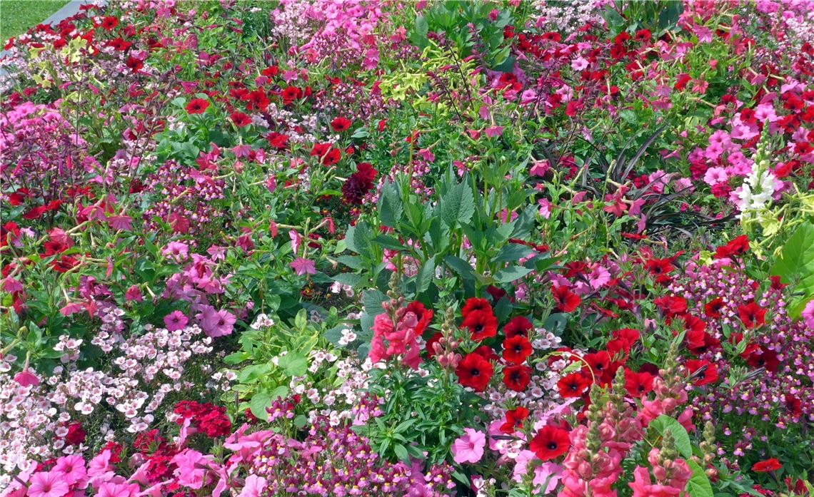 Sommerzeit