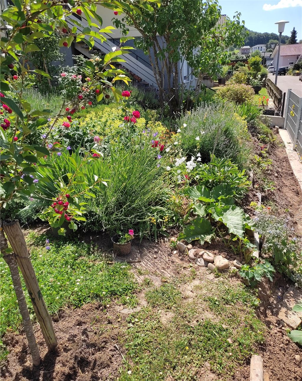 Sommerzeit