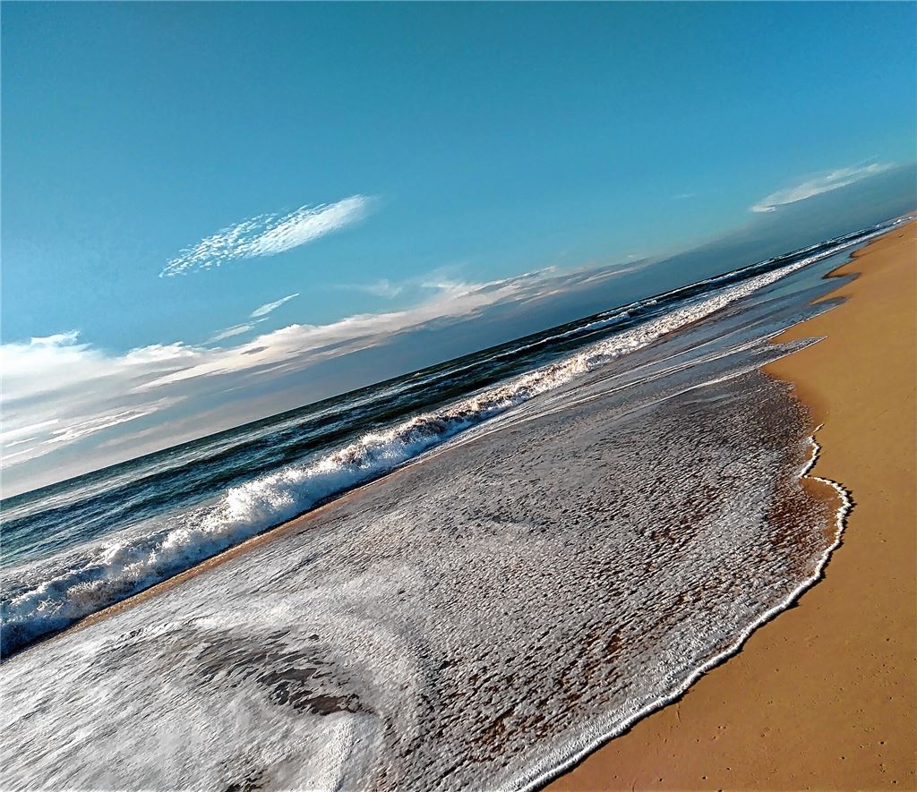 Ehemalige Schüler kommen zu Besuch