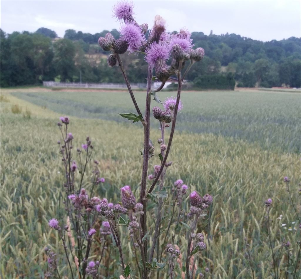 Sommerzeit