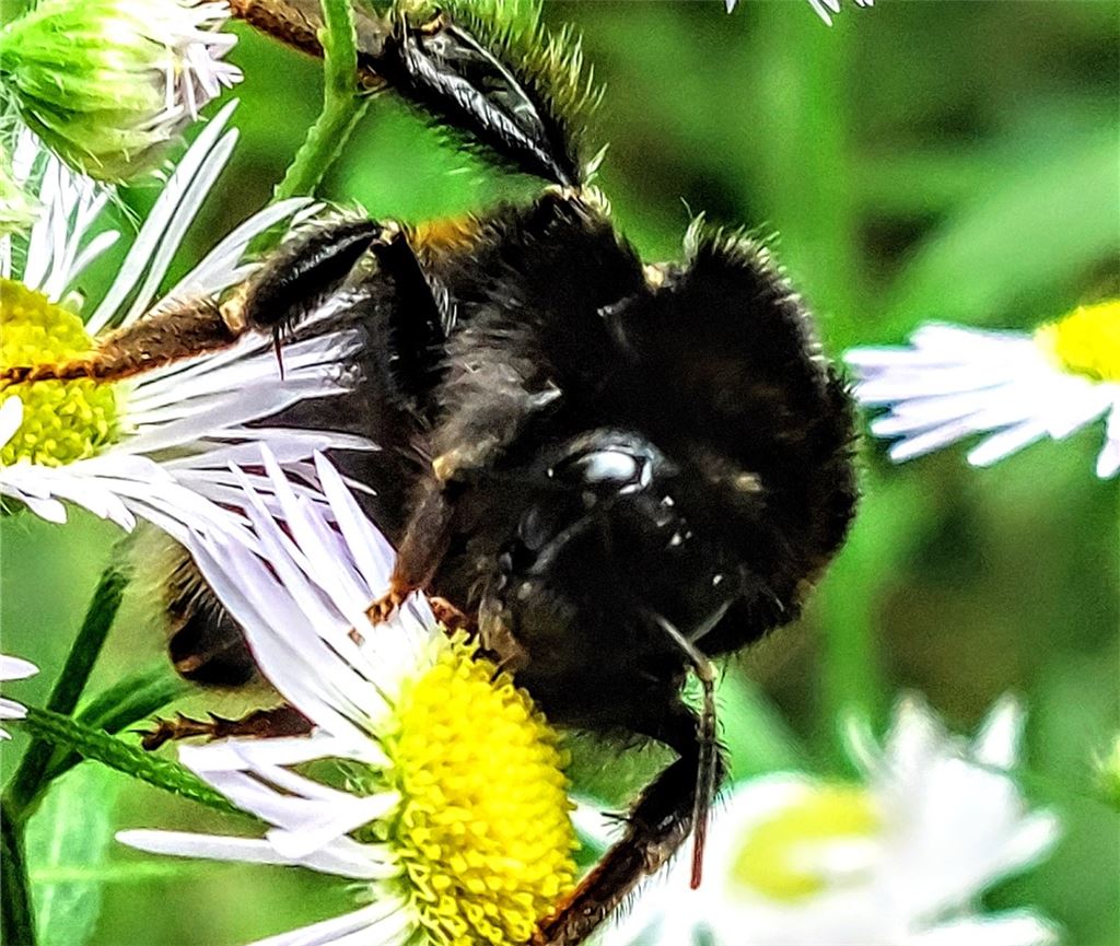 Sommerzeit