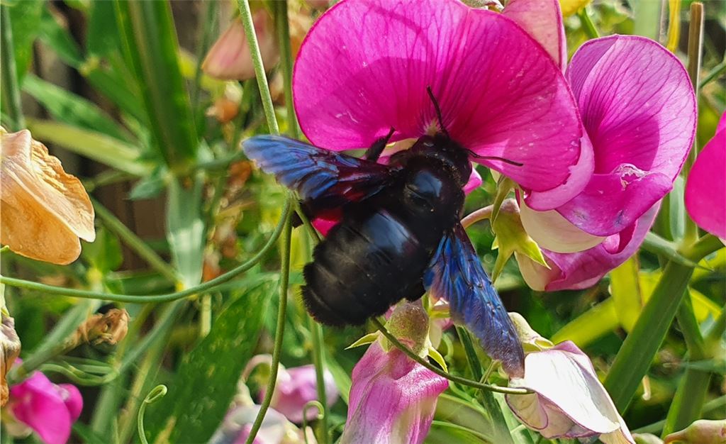 Sommerzeit