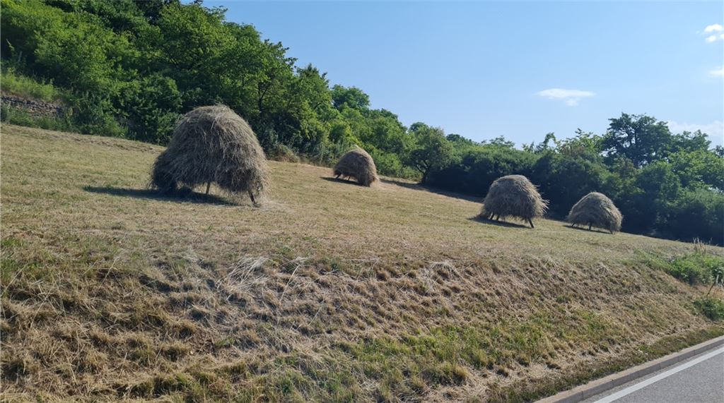 Sommerzeit
