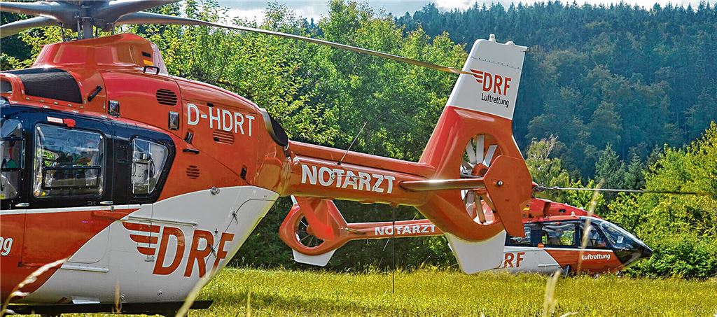 pol Kinder Schatzsuche Bienen Großeinsatz Internet