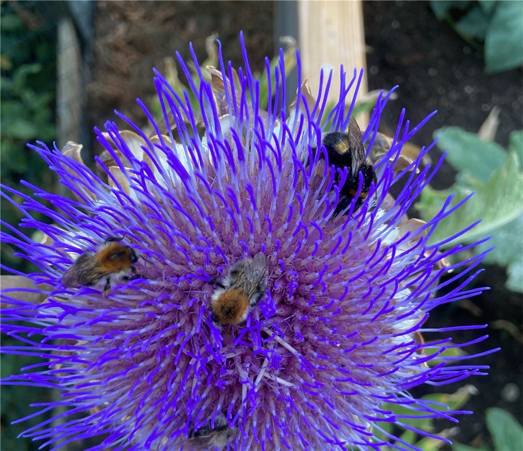 Sommerzeit