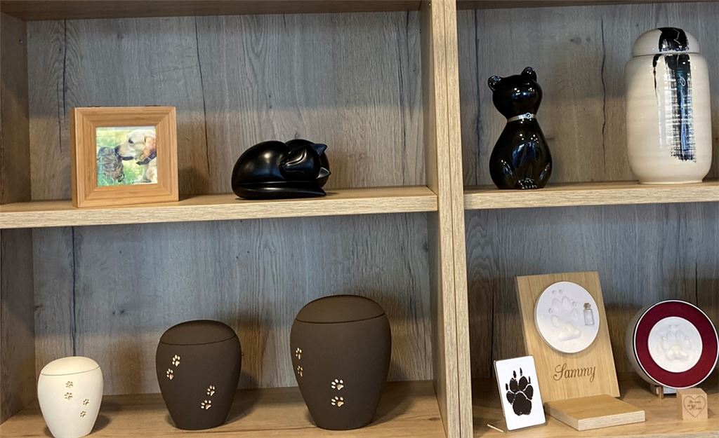 Die Asche meines Katers