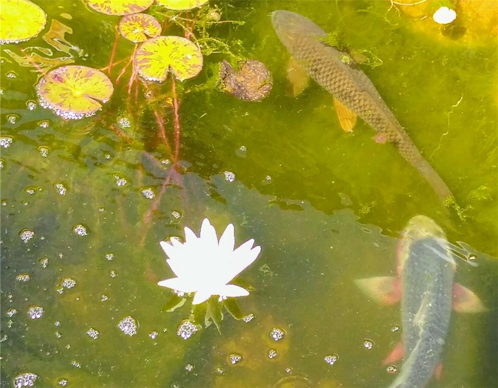 Sommerzeit