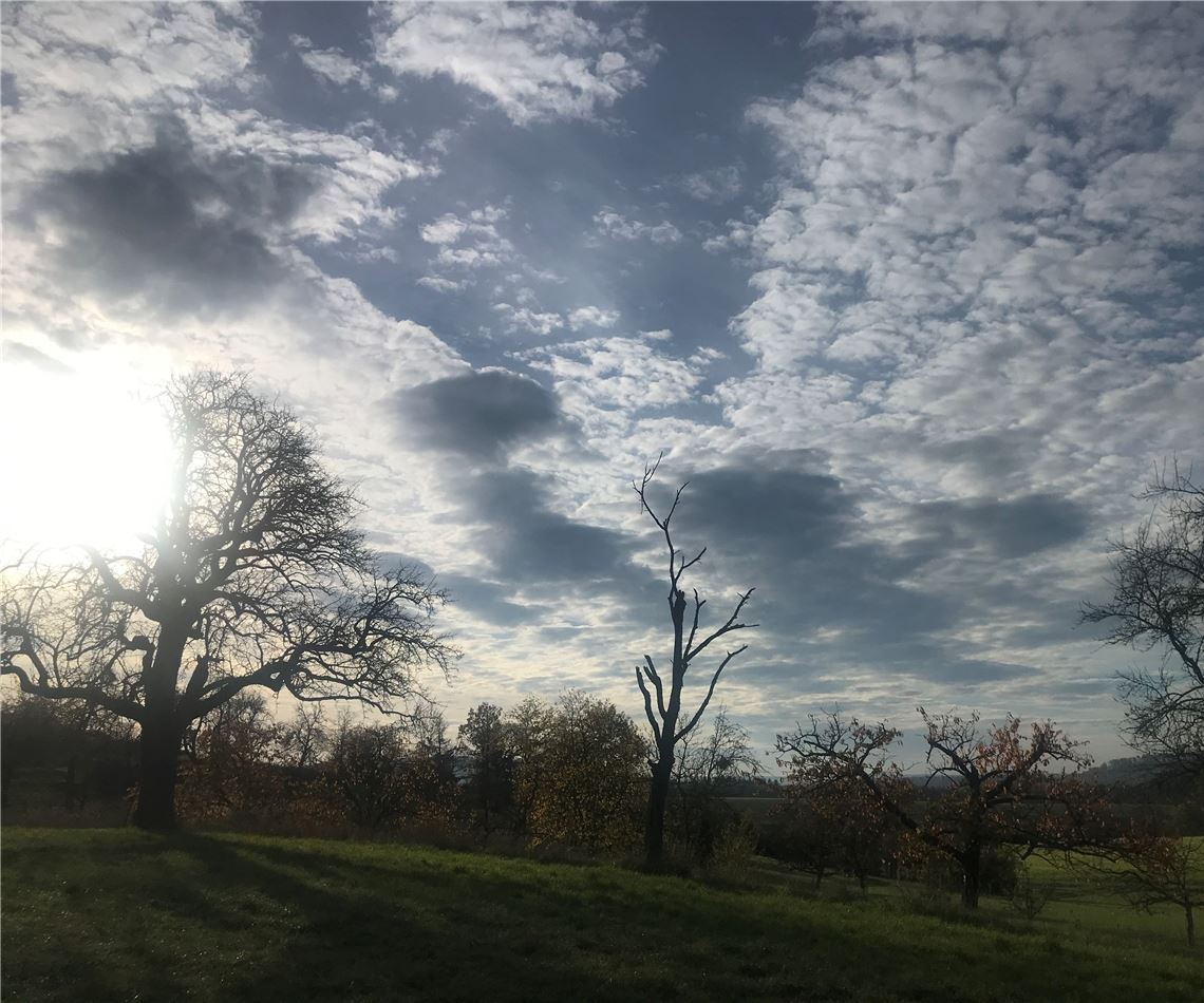 Herbstfarben