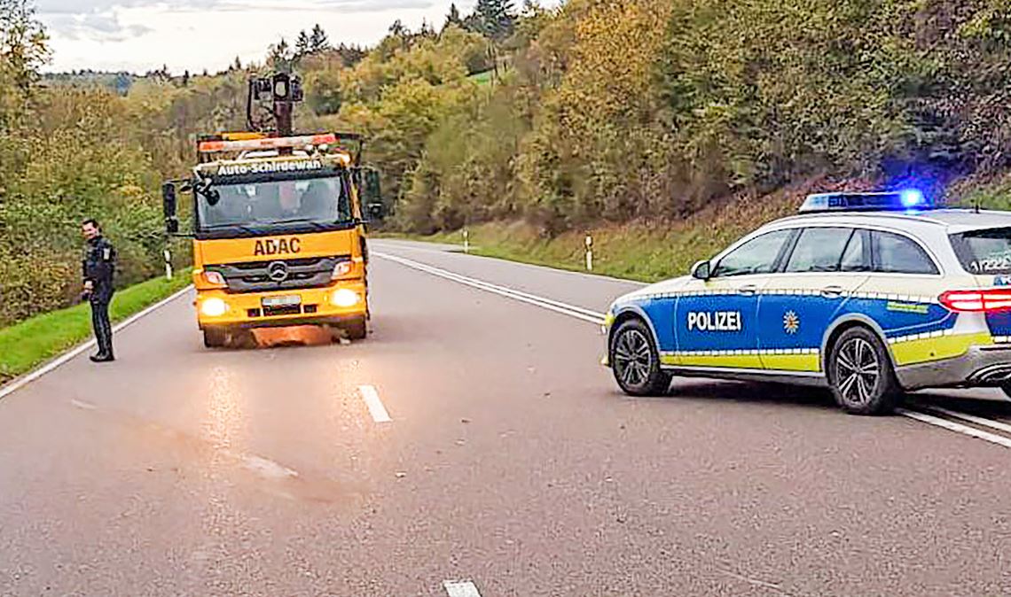 Ausflug auf die B10 wird Rind zum Verhängnis
