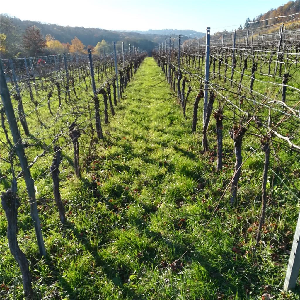 Herbstfarben