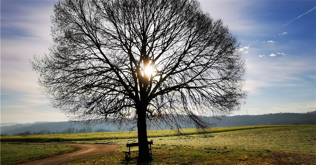 Herbstfarben