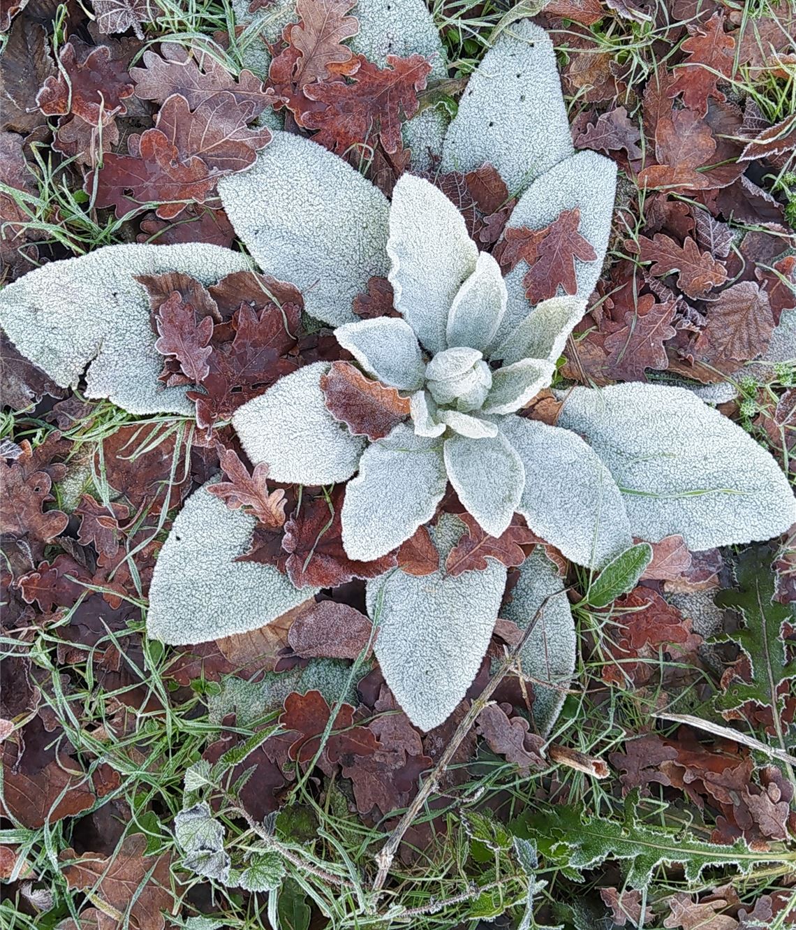 Winterzeit Winterzeit