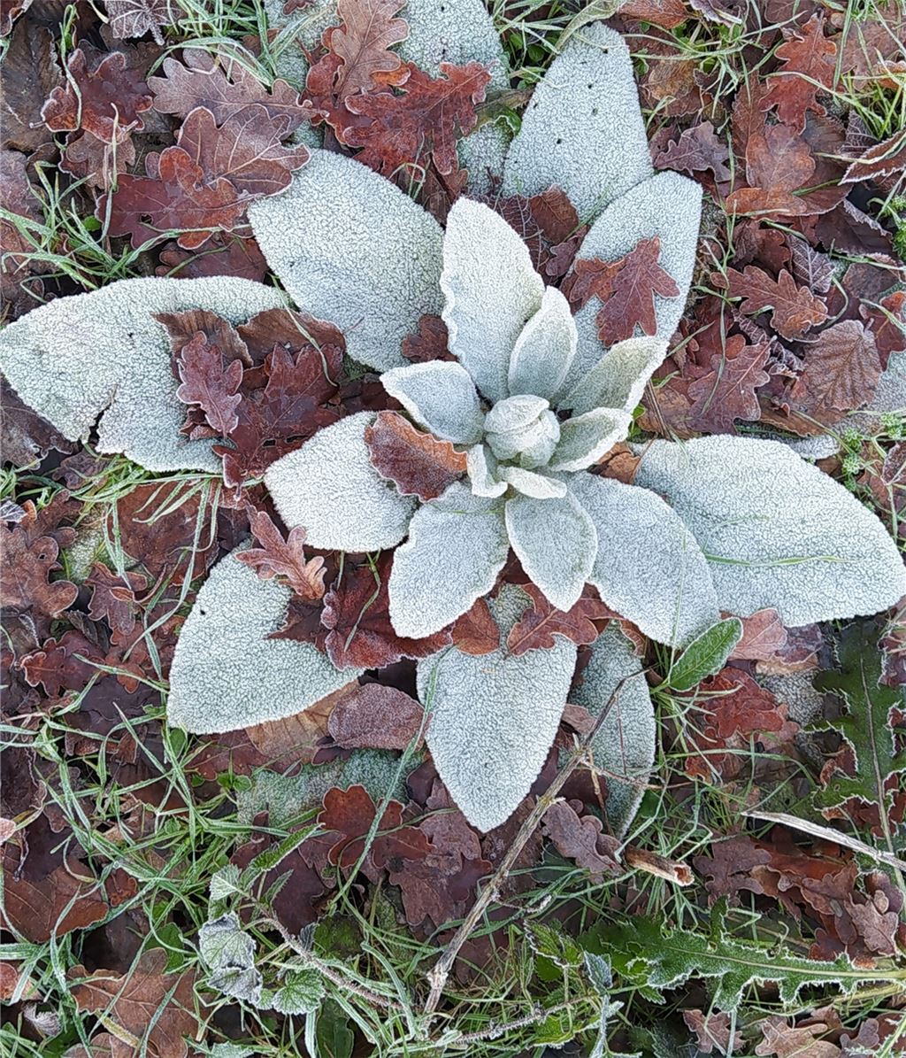 Winterzeit