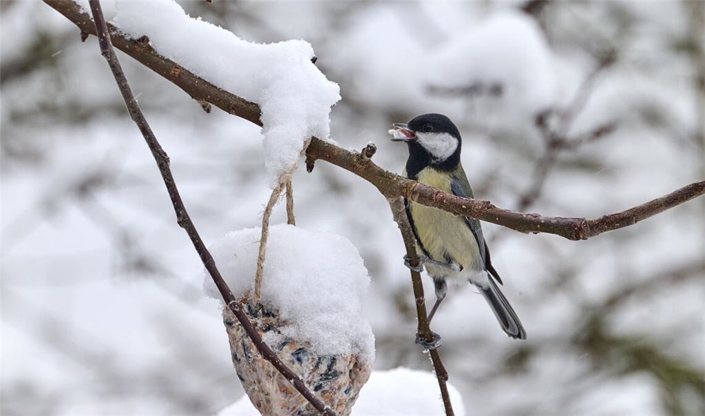 Winterzeit