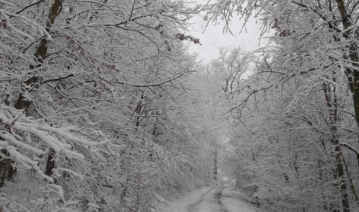 Winterzeit