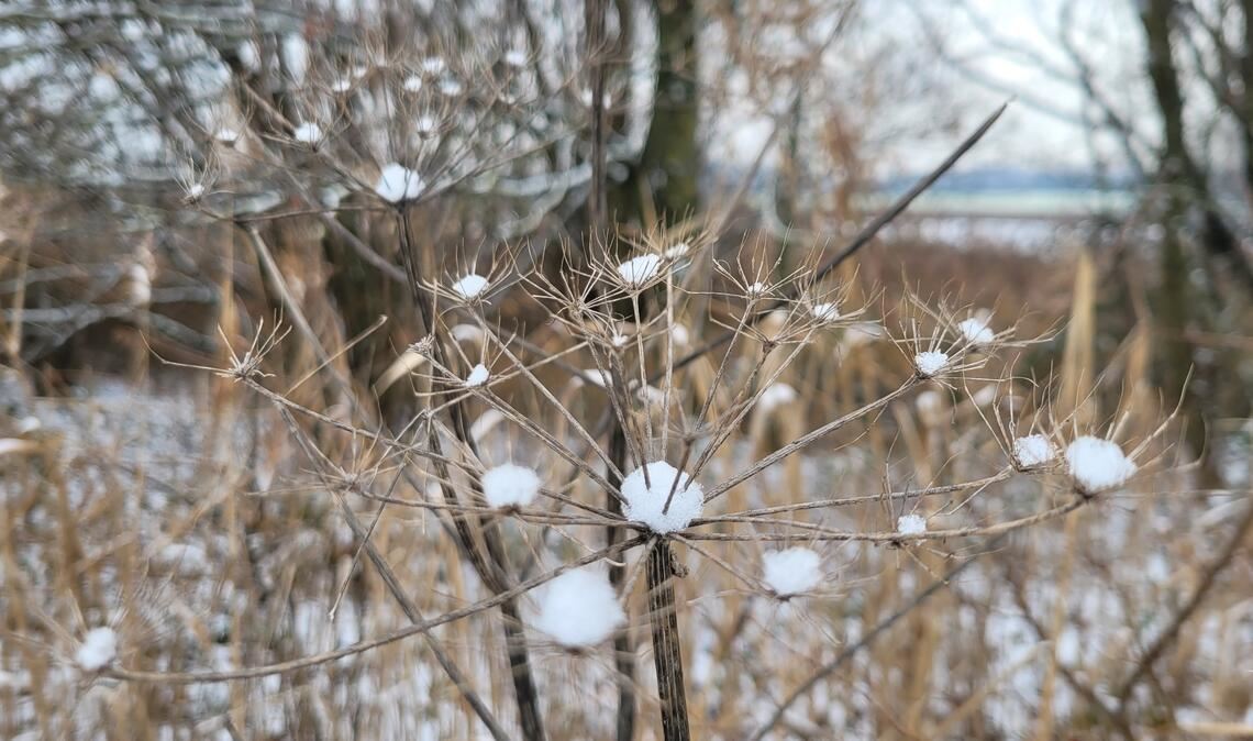 Winterzeit