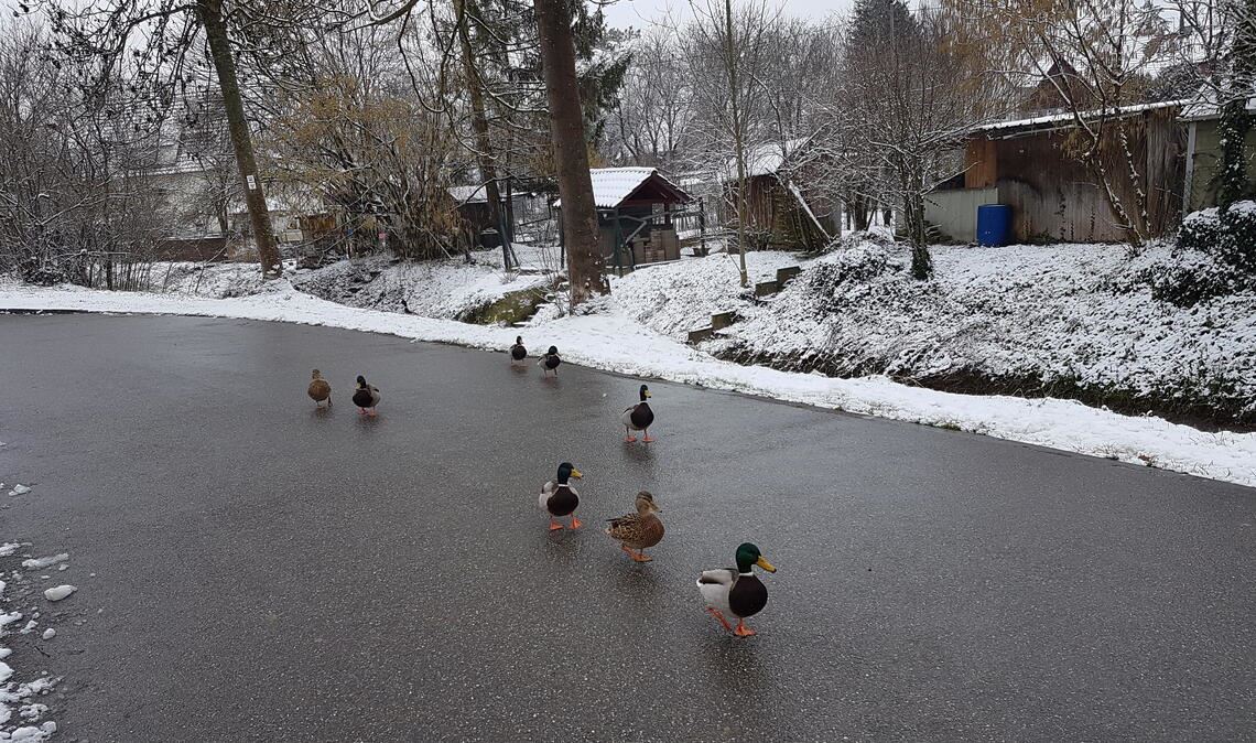 Winterzeit