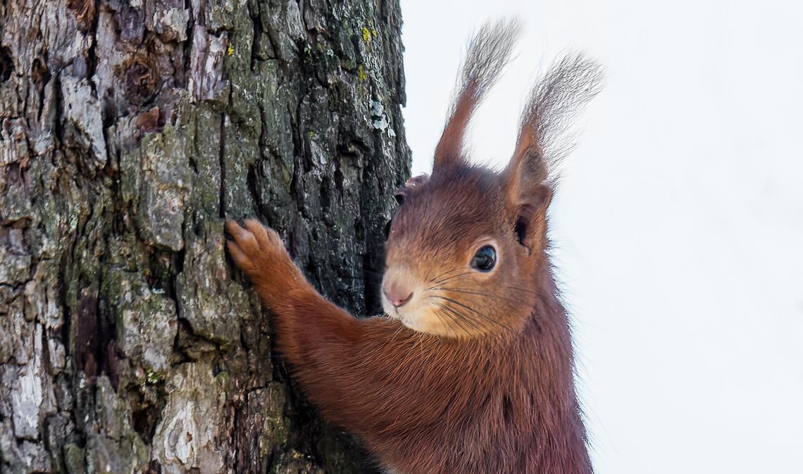 Winterzeit