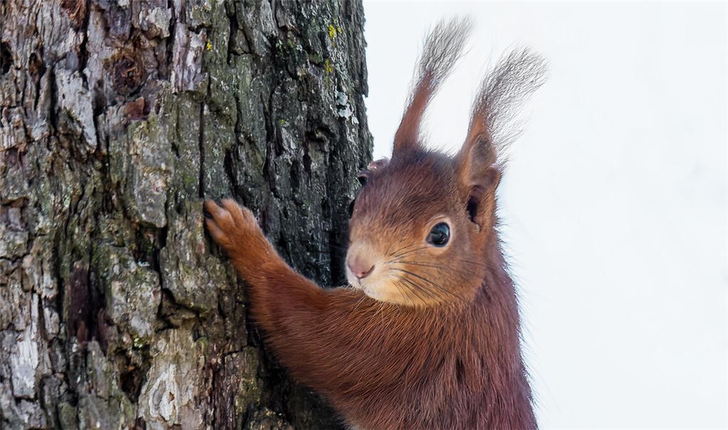 Winterzeit