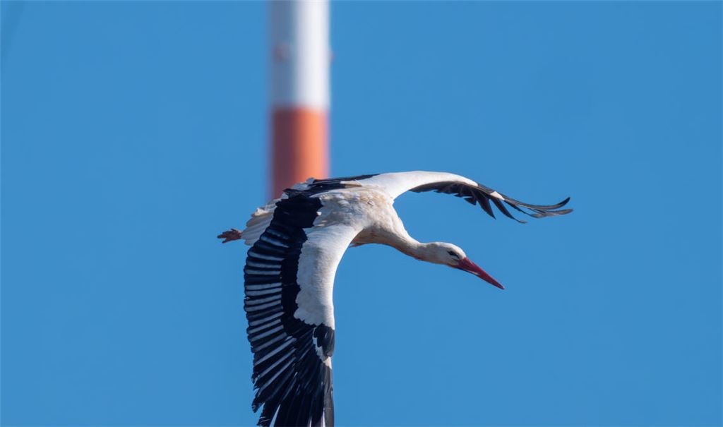 Im Anflug