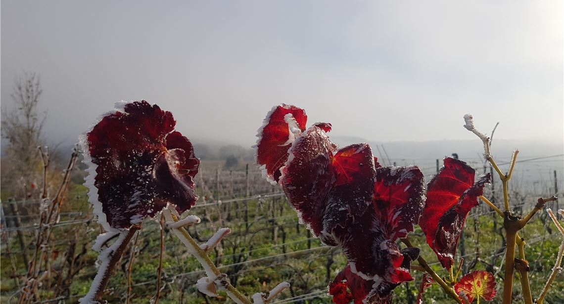 Winterzeit