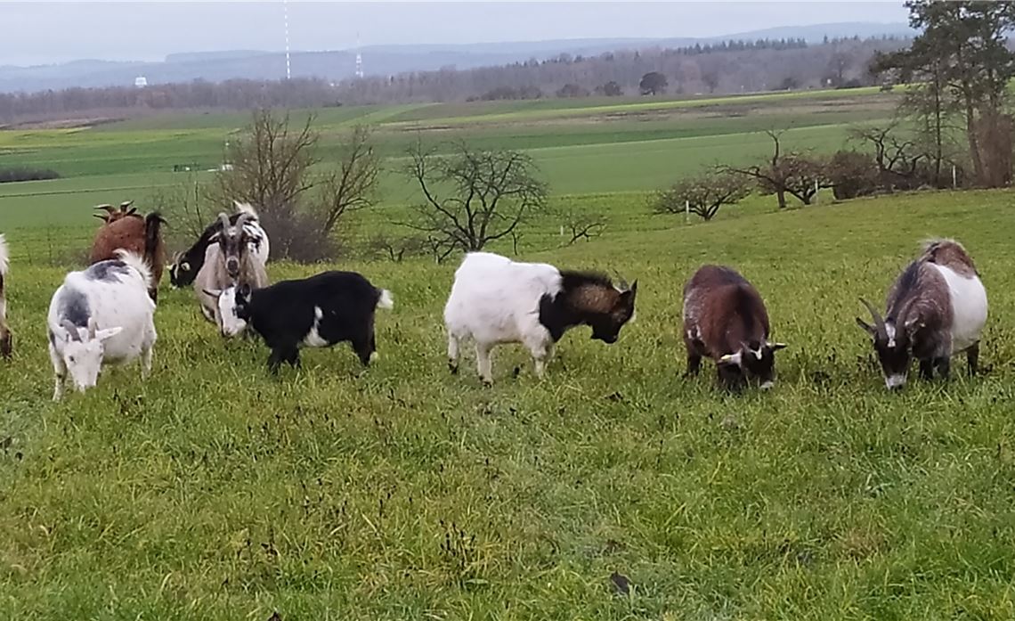 Winterzeit