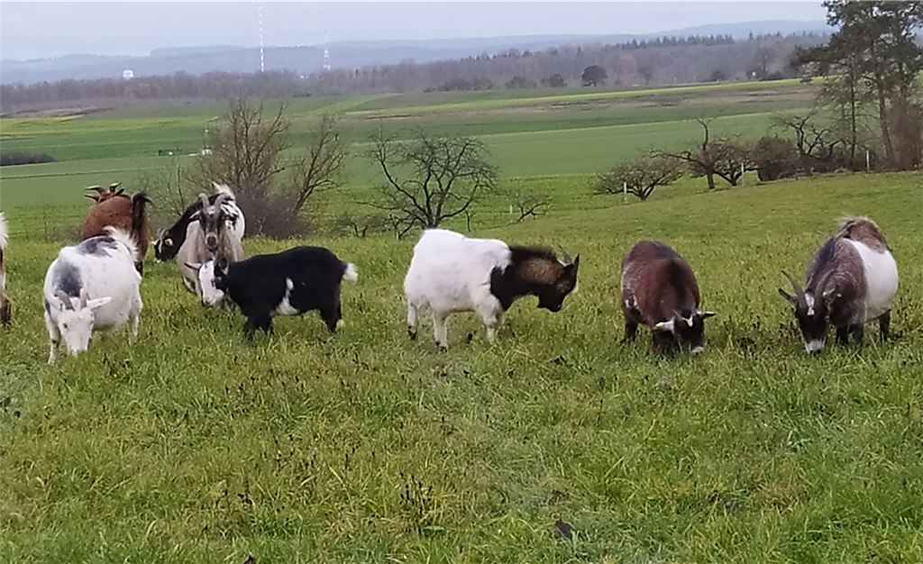 Winterzeit