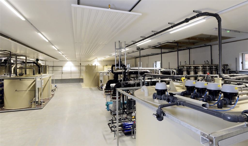 Eine Million Euro für Up Cycling Plus