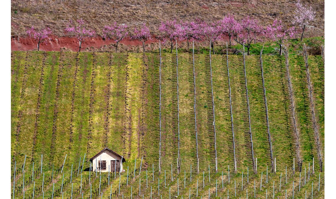 Kalenderfotos gesucht