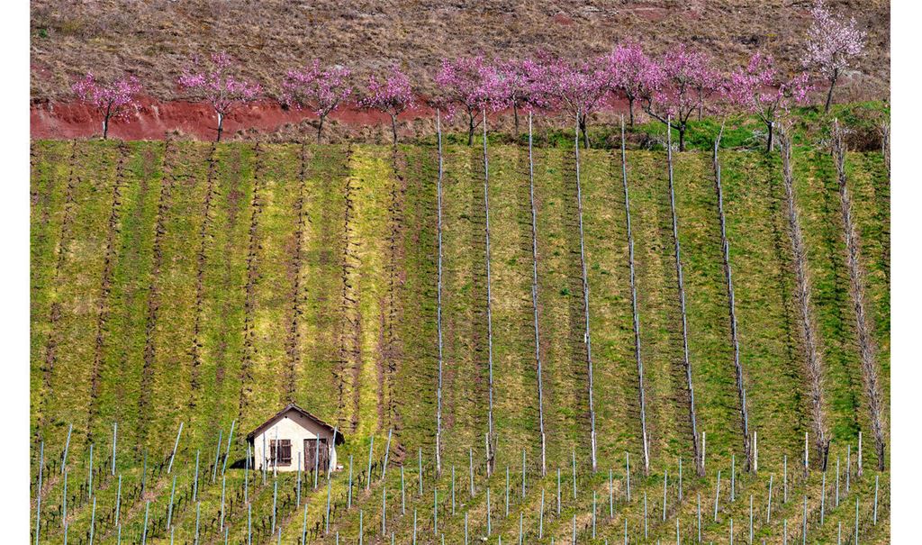 Kalenderfotos gesucht