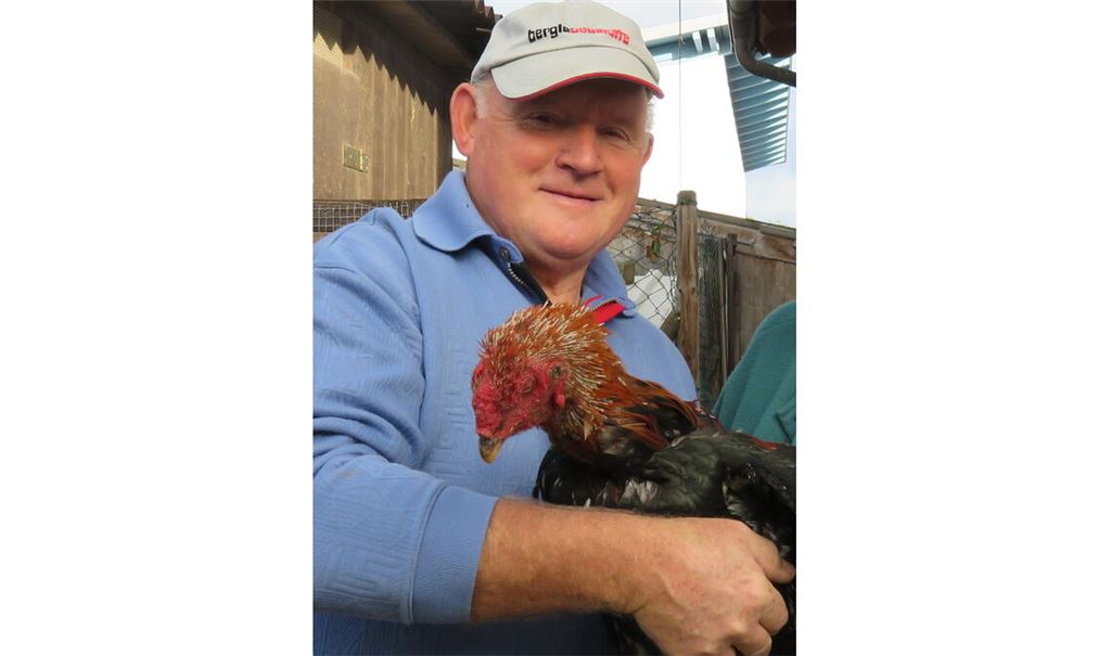 „Schön, glückliche Hühner zu sehen“