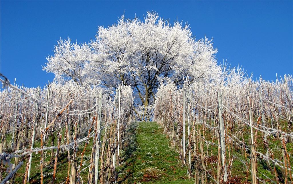 Winterzeit