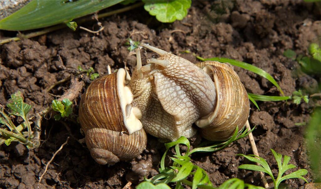 Frühlingsgefühle