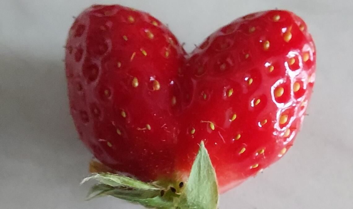 Frühlingsgefühle Frühlingsgefühle