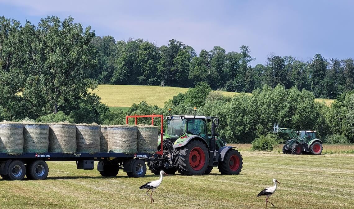 Sommerzeit Sommerzeit