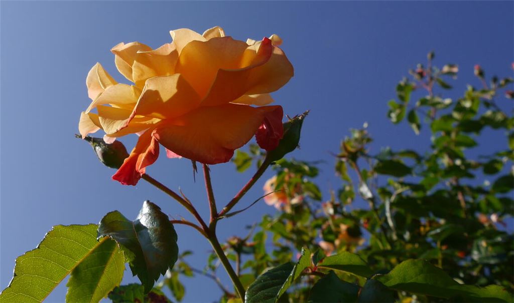 Sommerzeit