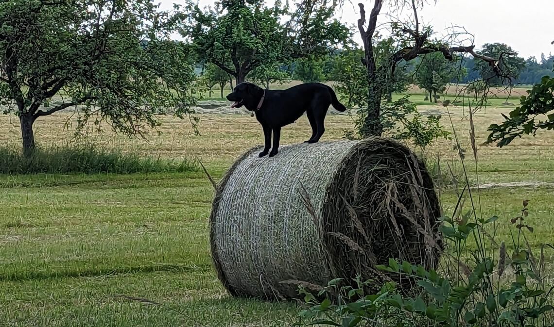 Sommerzeit Sommerzeit