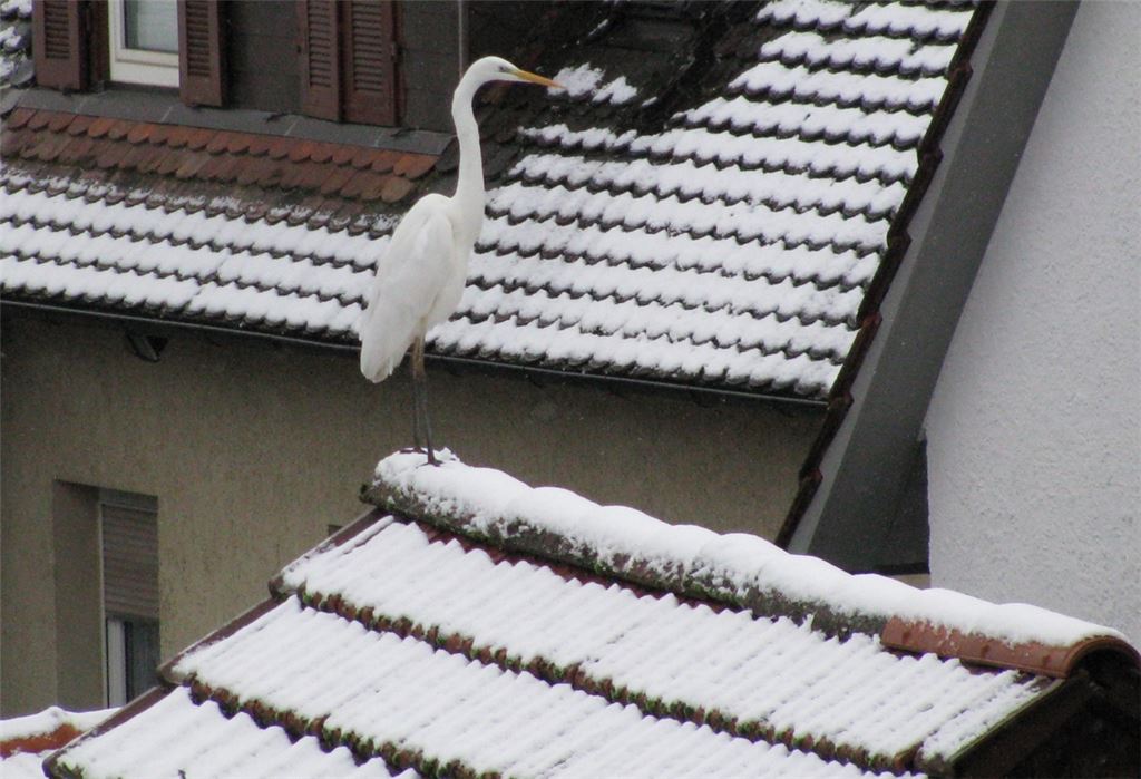 Winterzeit