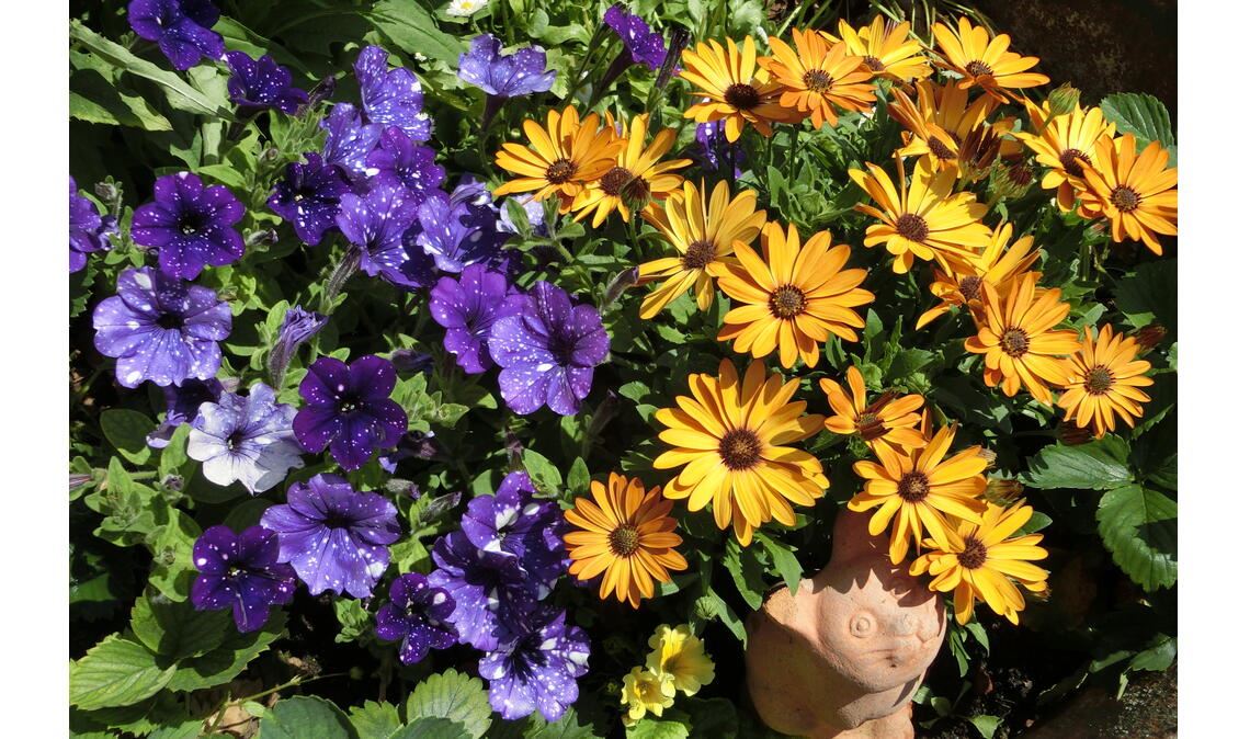 Sommerzeit