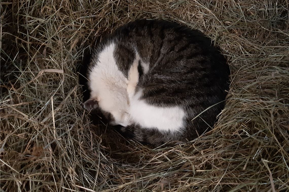 Winterzeit