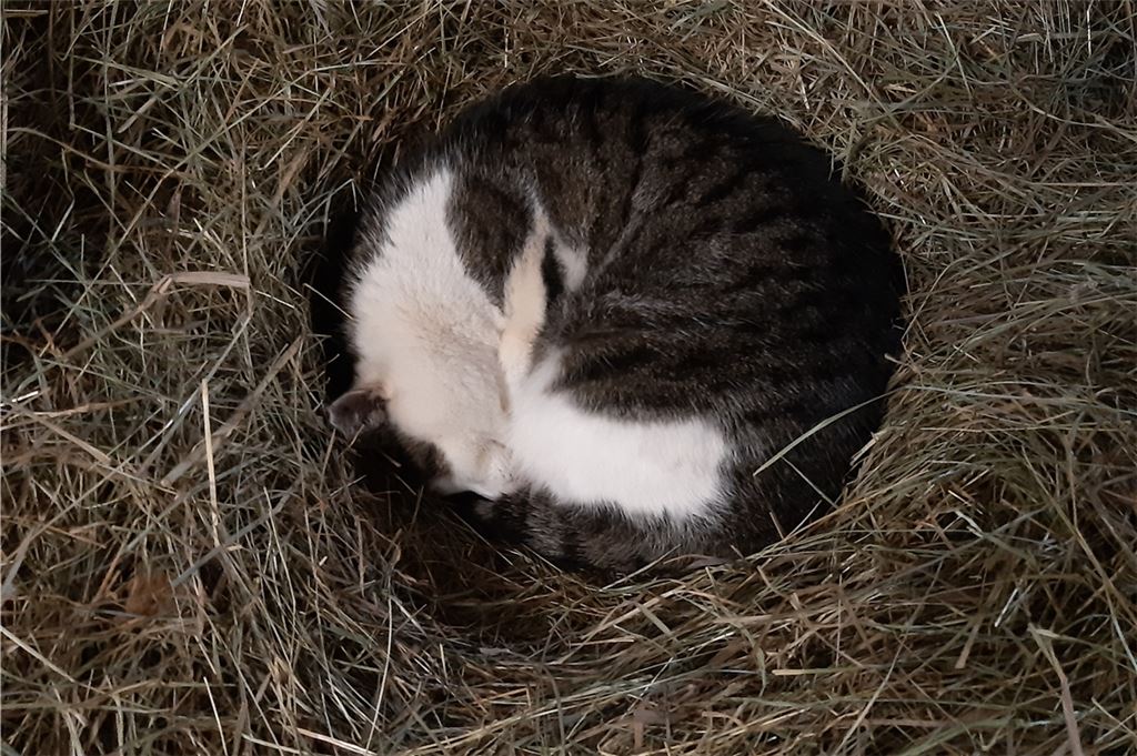 Winterzeit