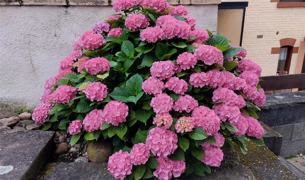 Sommerzeit