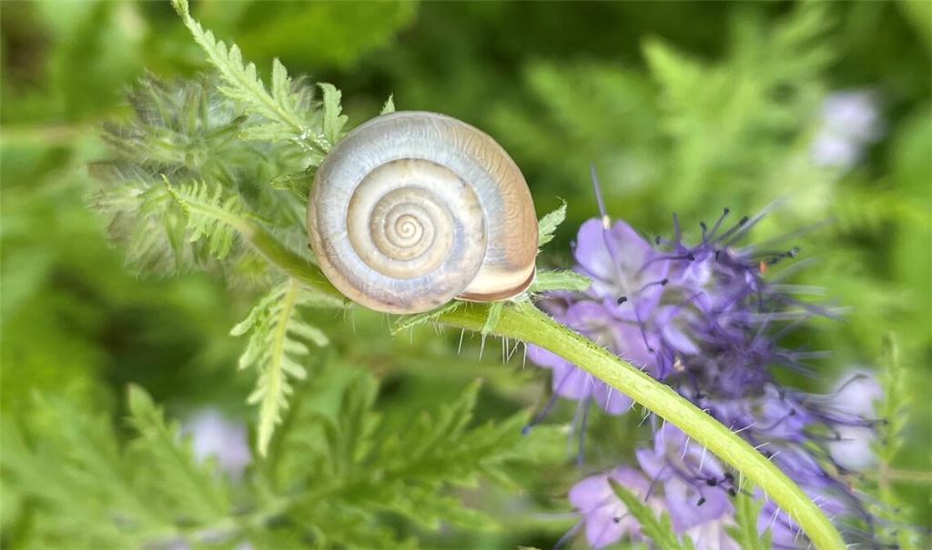 Sommerzeit