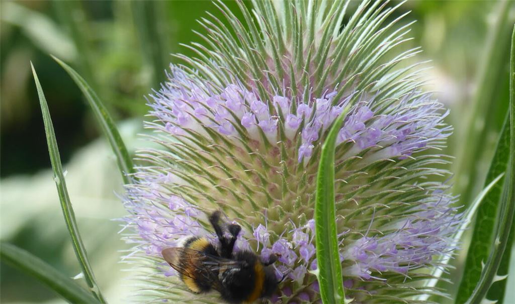 Sommerzeit